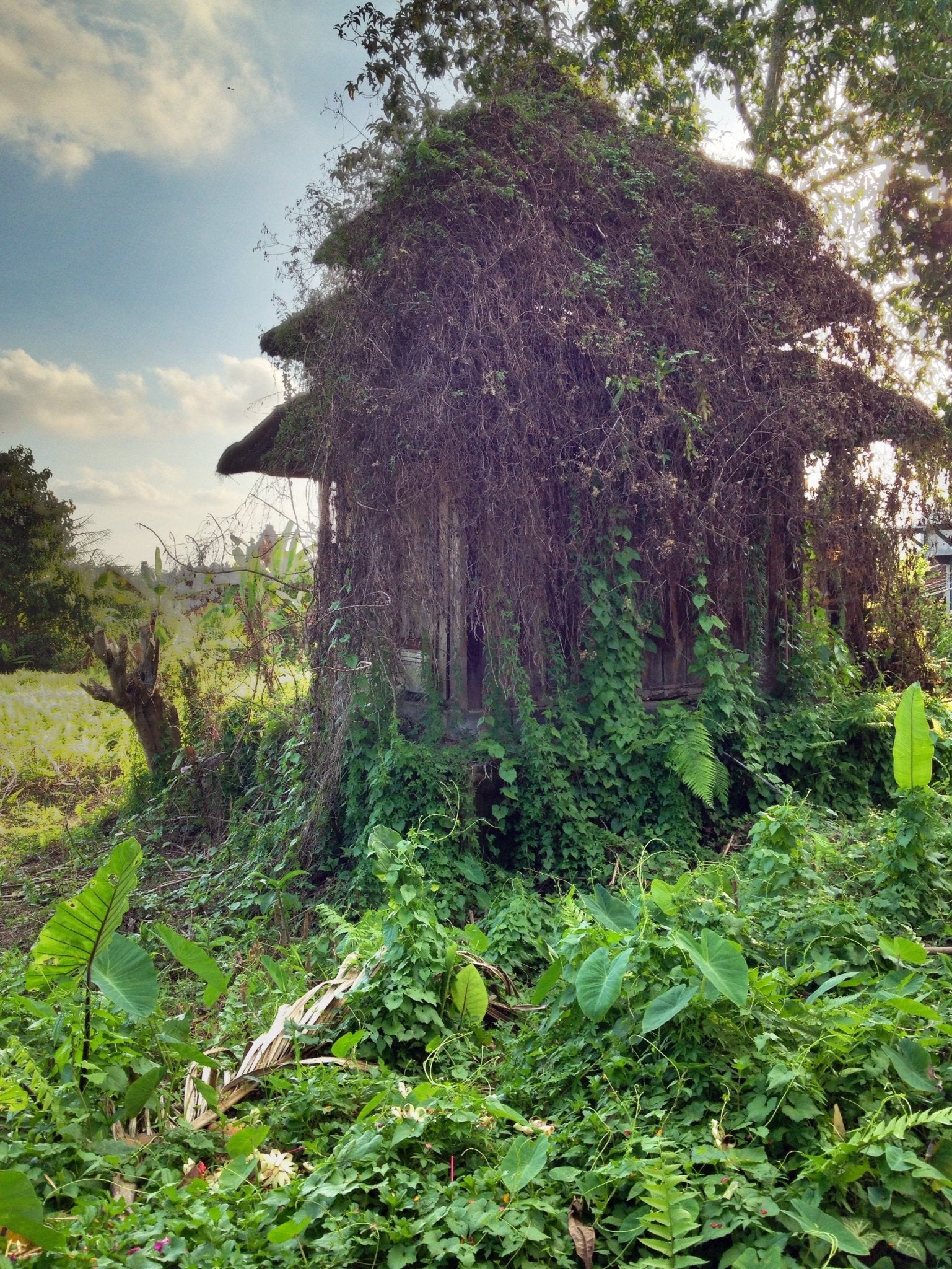 INDONESIA