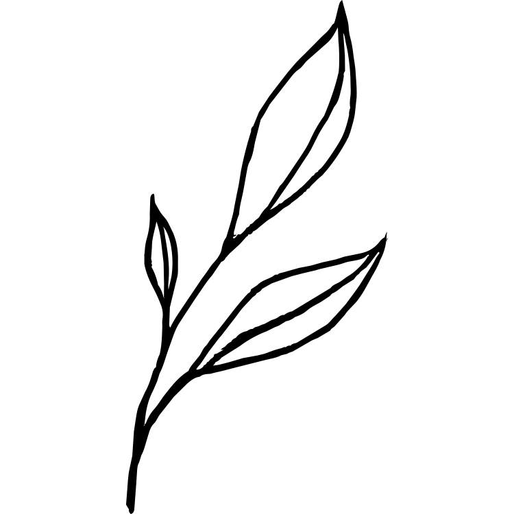 Natural Fibers
