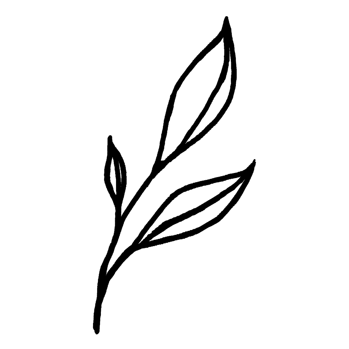 Natural Fibers