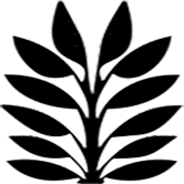 Natural Fibers
