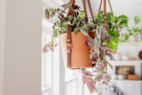 Braided Leather Plant Sling - Small World Goods