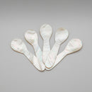 little shell spoons