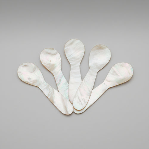 little shell spoons