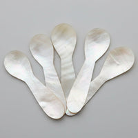 Shell Spoon