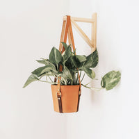 Simple Leather Plant Sling