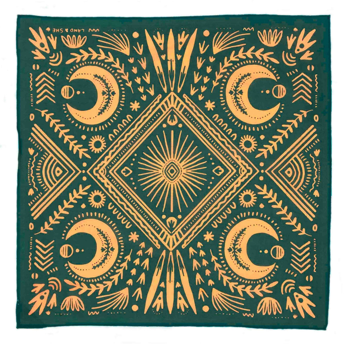 "Stay Steady" Bandana
